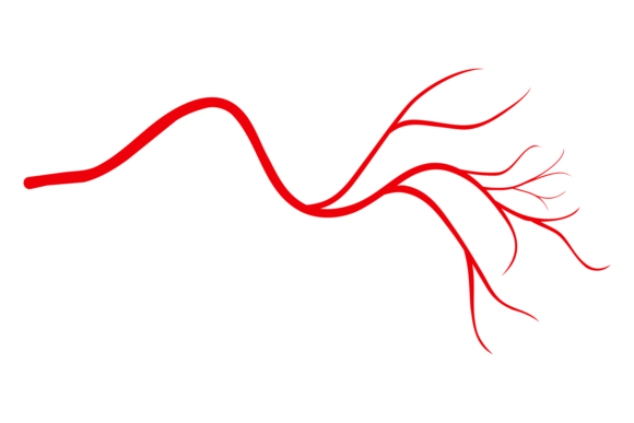 Vein Icon: Medical Anatomy Embroidery Design